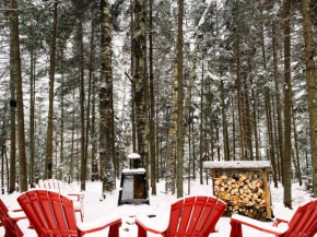 COZY CHALET WELL LOCATED